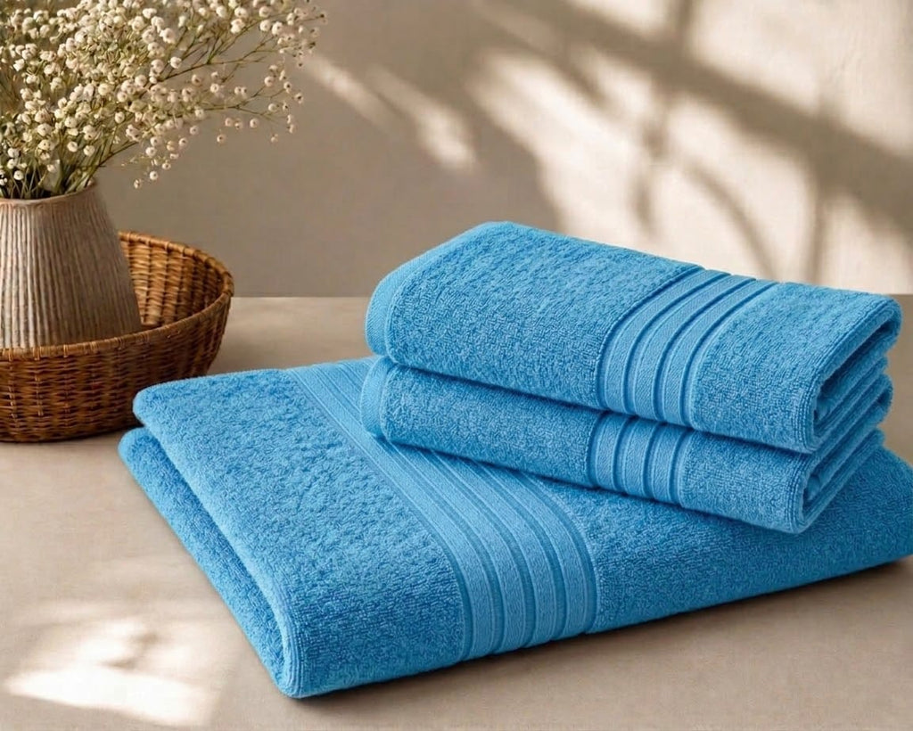 Master Towel – Premium 2-Piece Sky Blue Towel Set