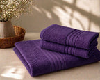 Master Towel – Premium 2-Piece Purple Towel Set